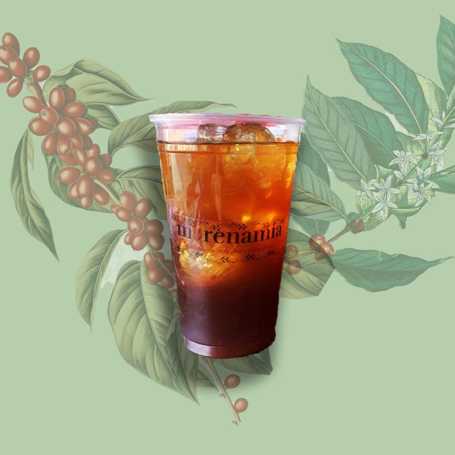 Cold Brew