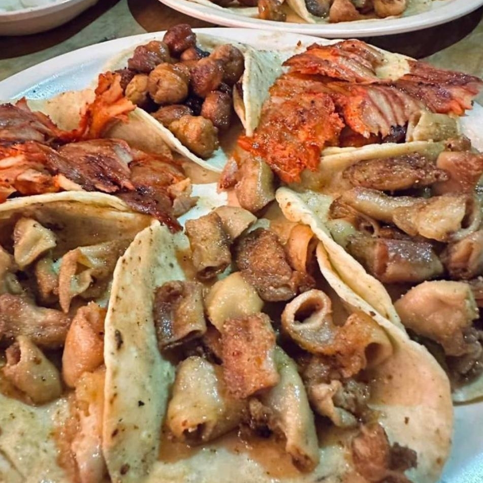 Tripa