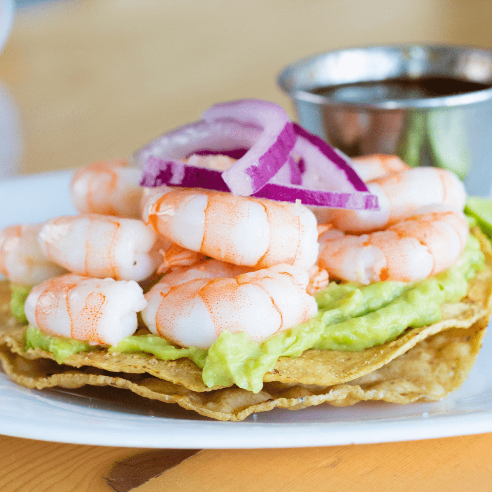 TOSTADA BICHI