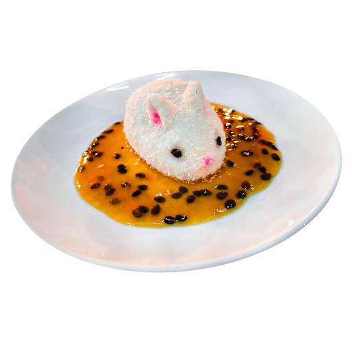 Panacota de Coco 100 g