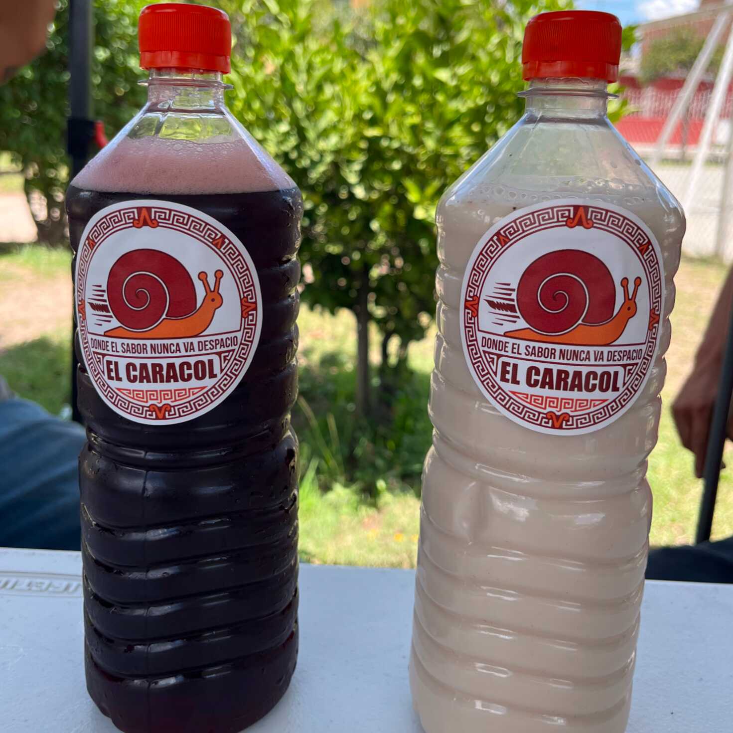 Agua de Jamaica 600 ML