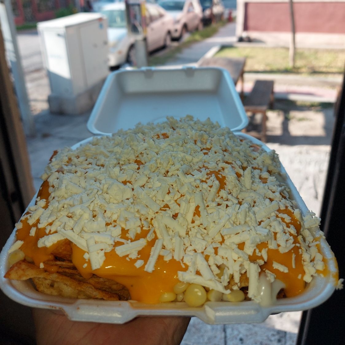 Charola Sencilla 1 papas a elegir