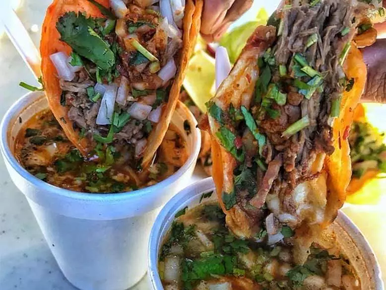 Realiza un pedido a Barbacoa y Tacos PALOMERA Estilo Guadalajara | DiDi Food