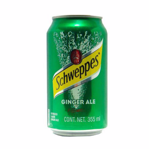 Ginger Ale 355 ml