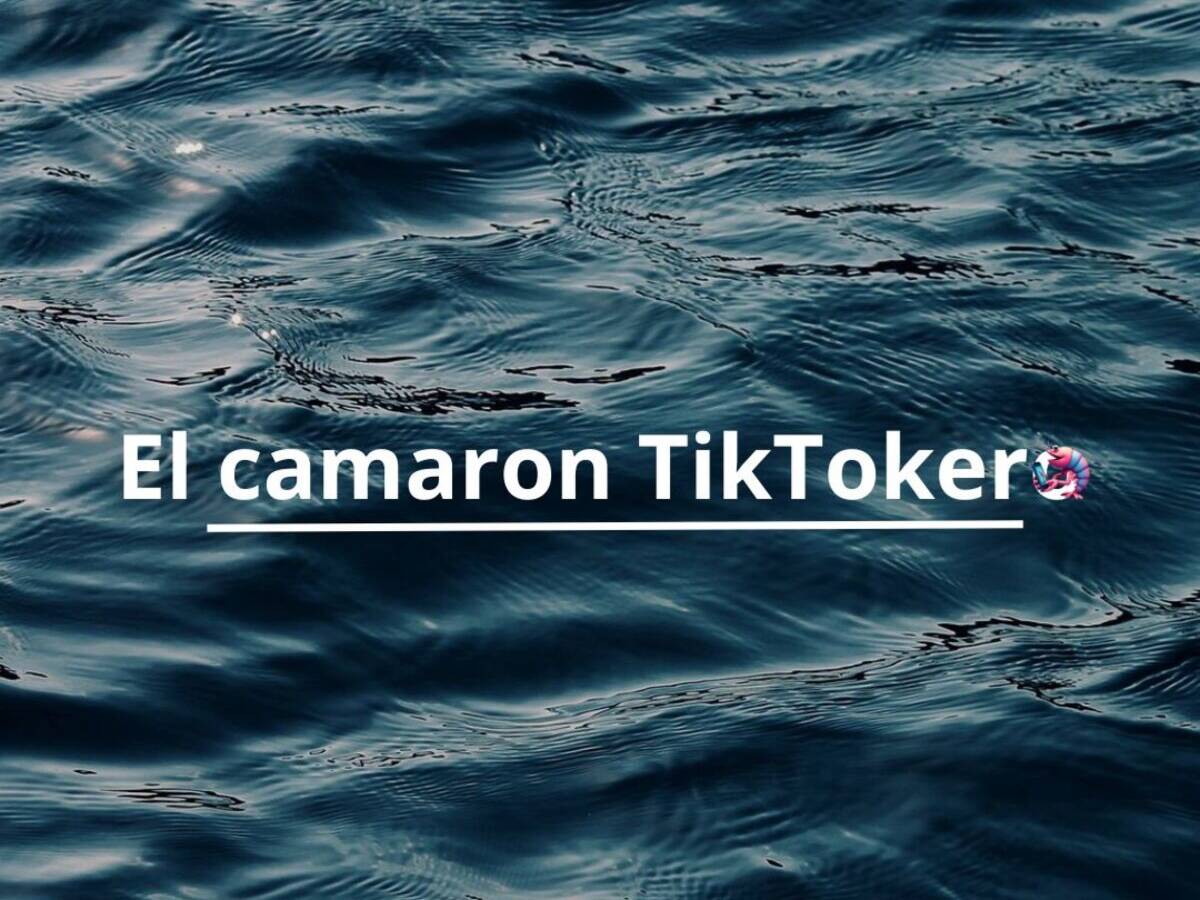 El camarón Tiktokero