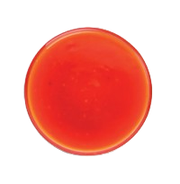 SALSA BUFALO