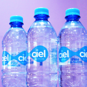 Agua en Botella 600 ml