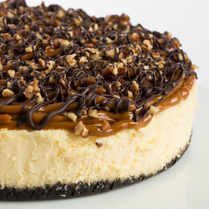 Cheesecake Tortuga