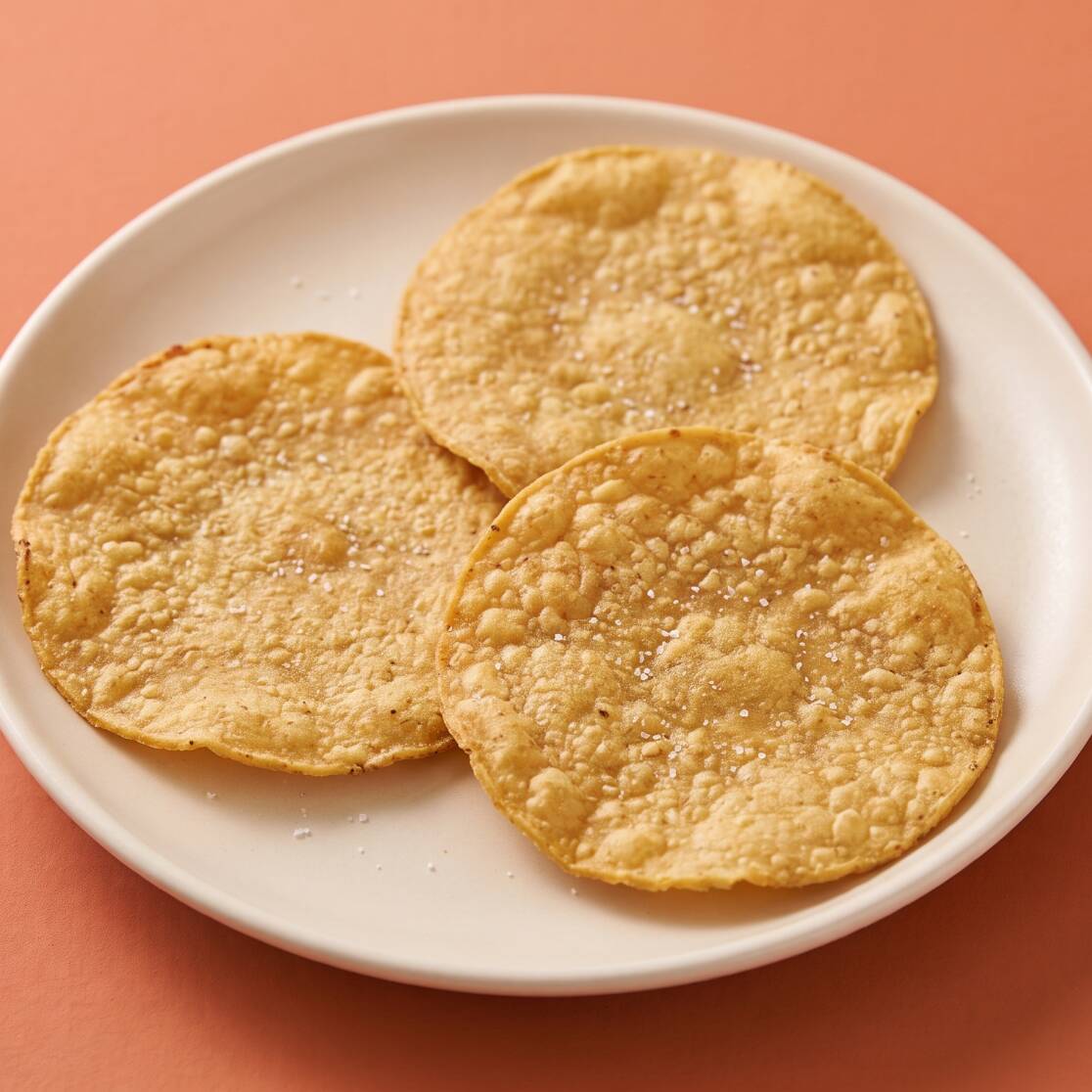 Extra Tostadas 10 pzas