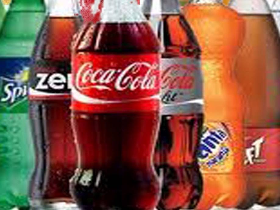 Refrescos (Coca Cola Family) pet