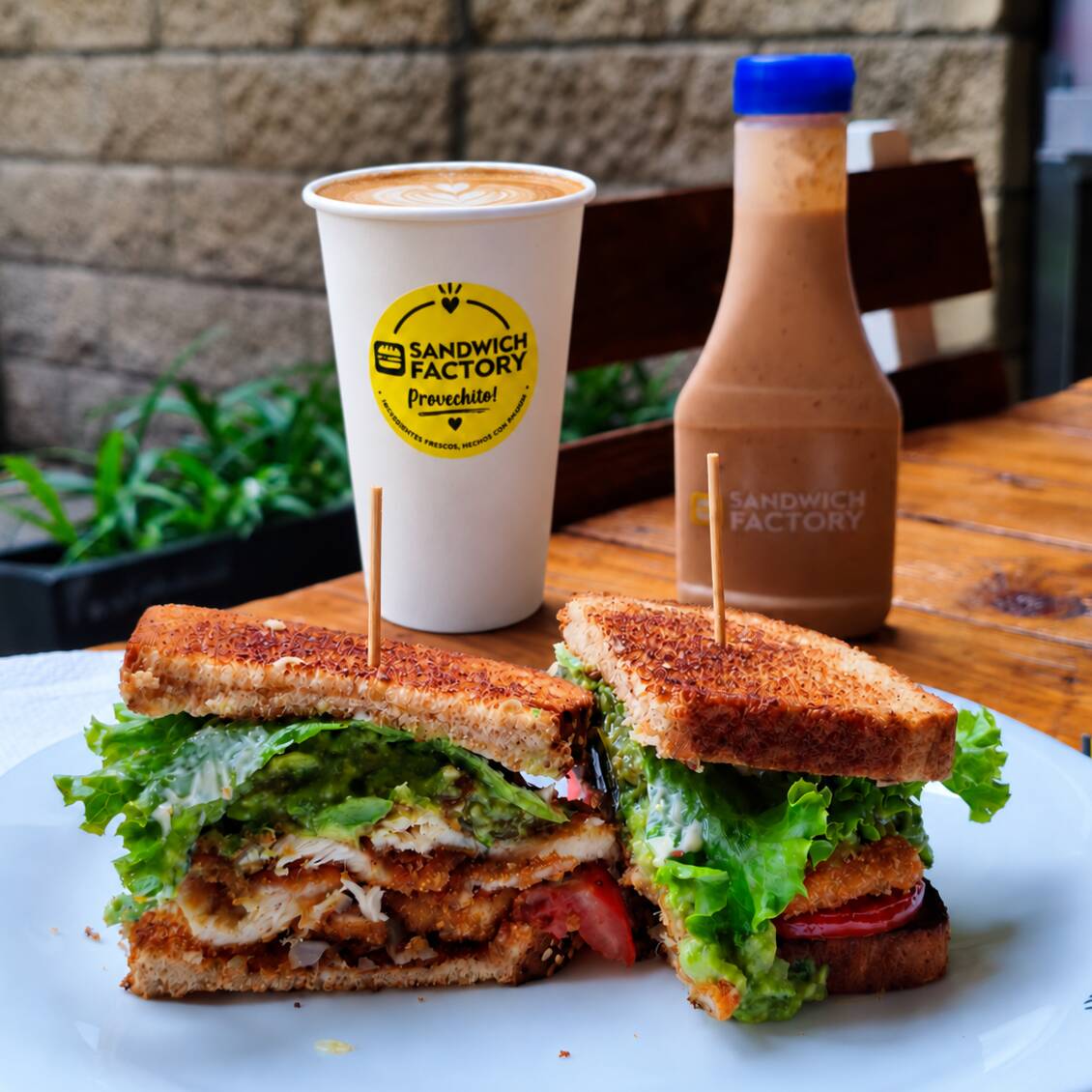 Fact Sandwich + Café Latte