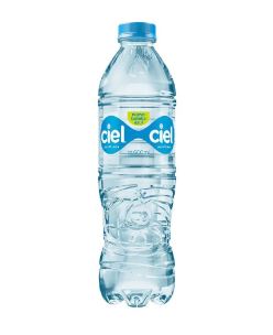 AGUA NATURAL 600ML