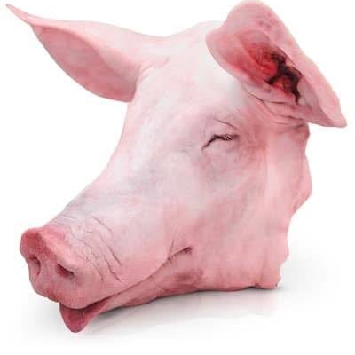 CABEZA DE CERDO