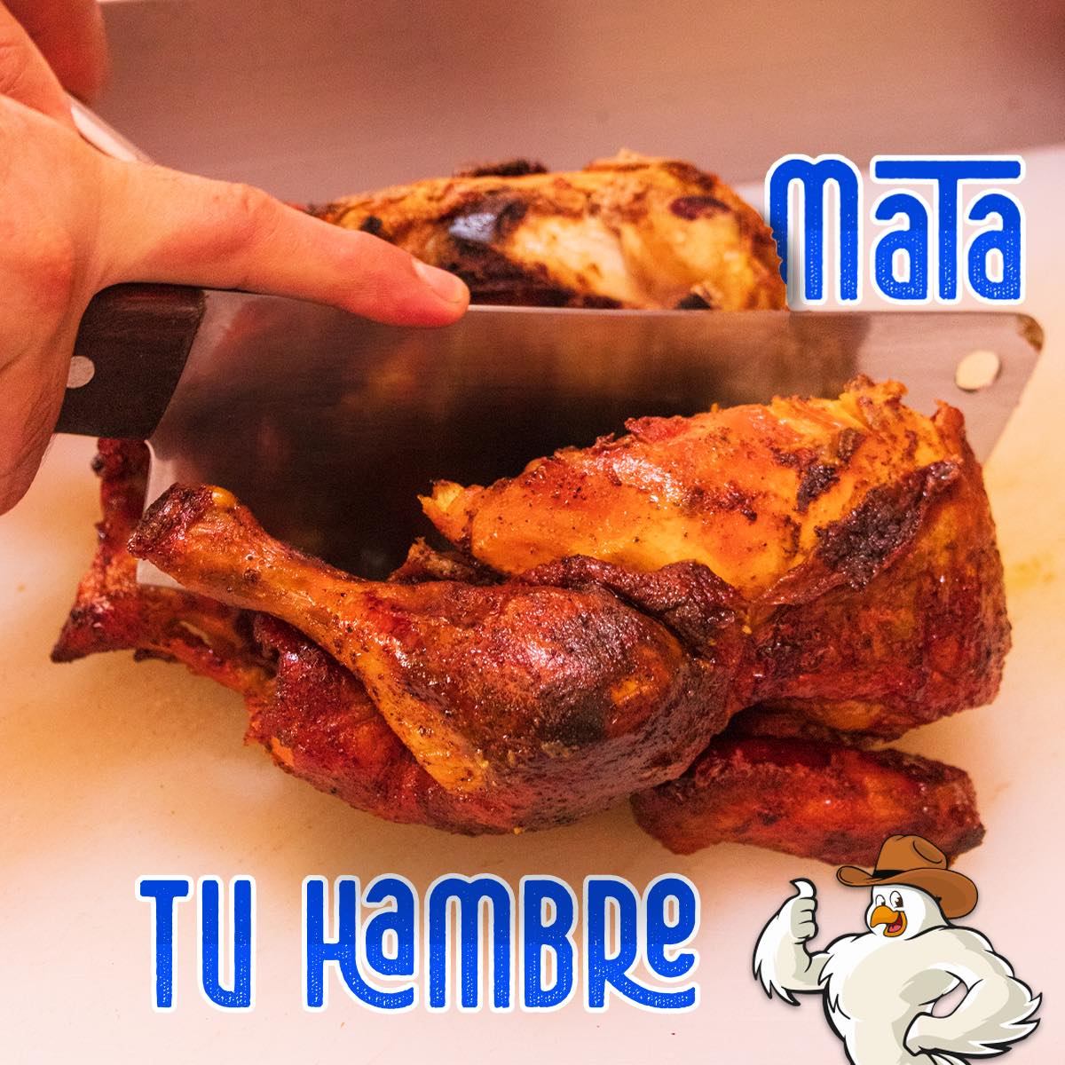 El mas gallo Suc. Aexa