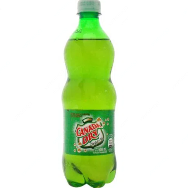 Ginger Ale de 600 Mililitros