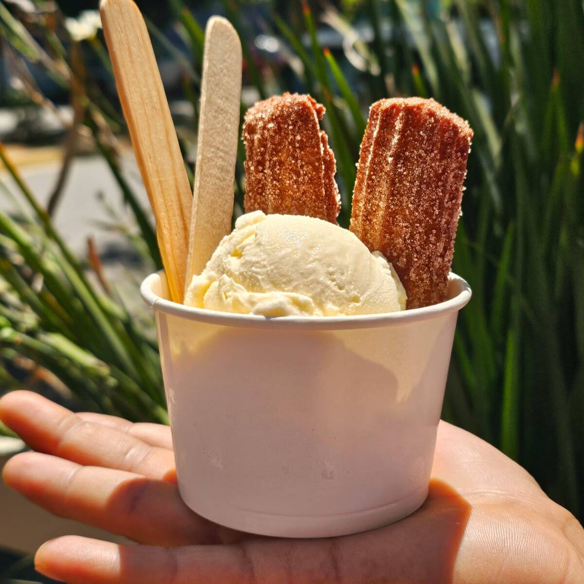 FROZEN Churro
