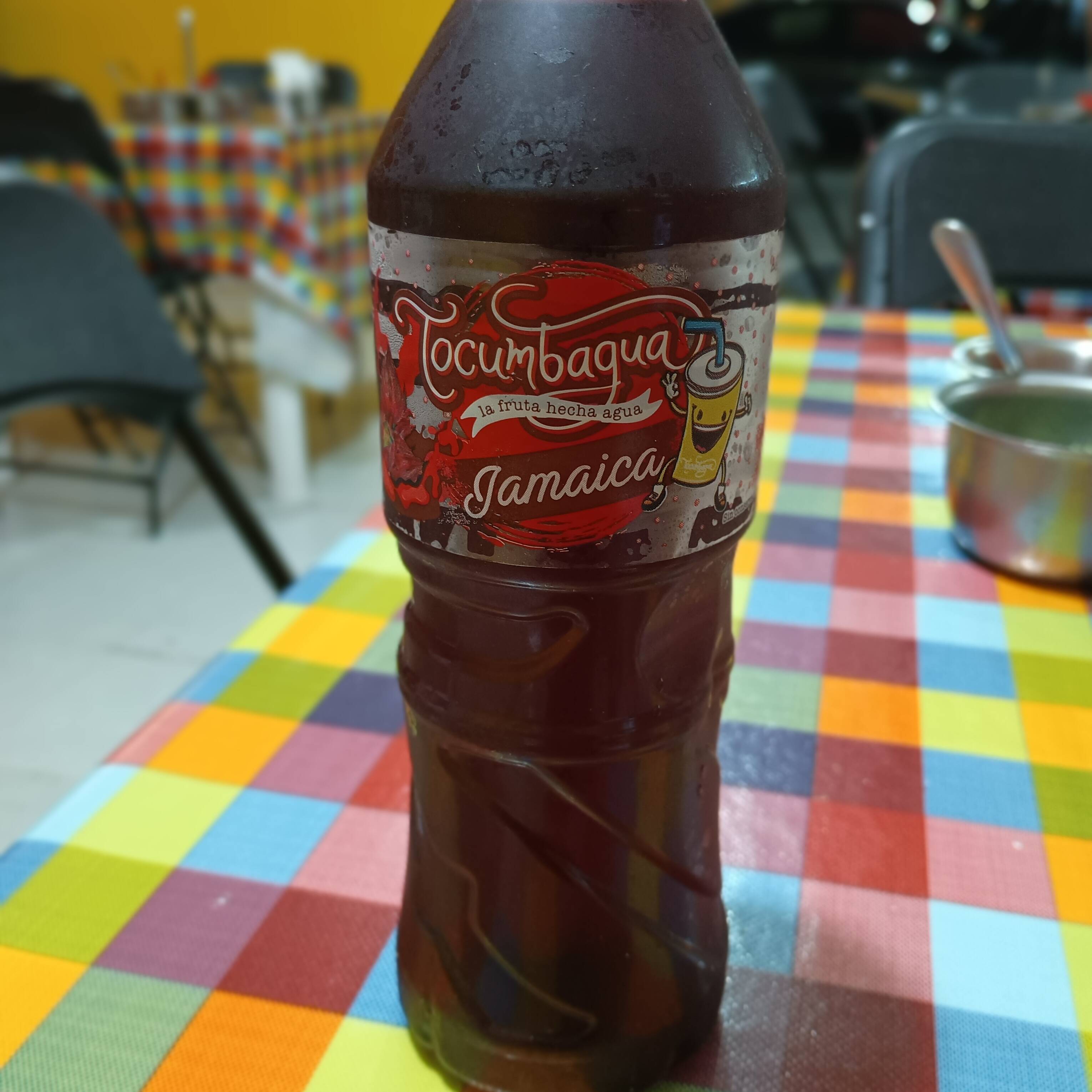 Agua de Jamaica 500 Ml