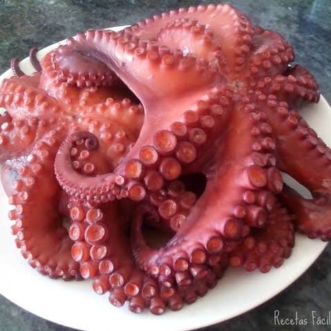 Ceviche de Pulpo