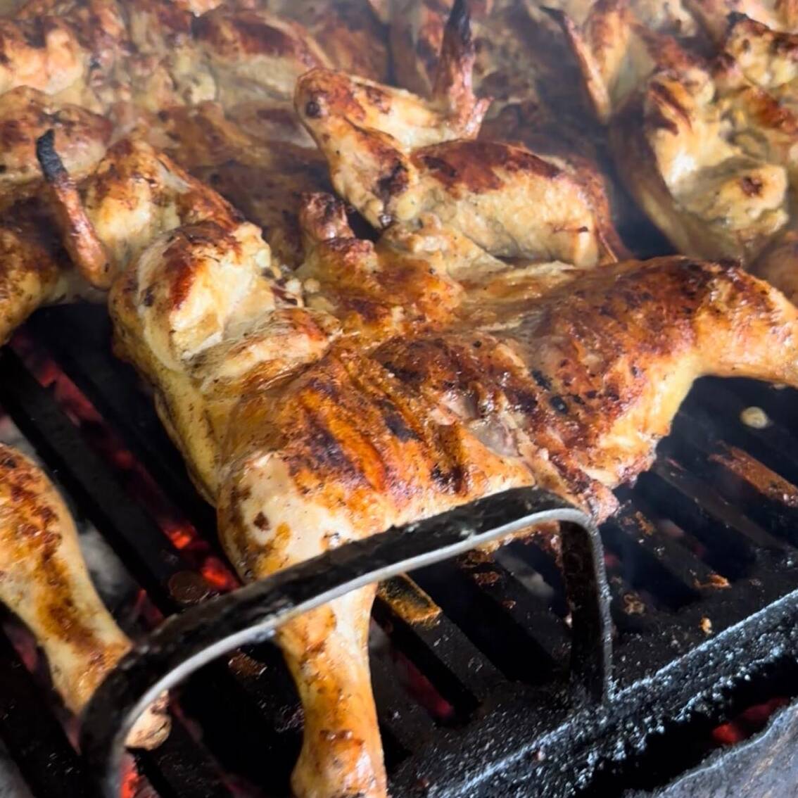 1/2 POLLO