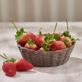 ADICION DE FRESAS