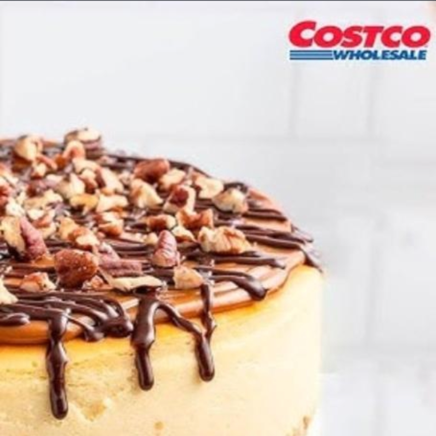 Cheese Cake Tortuga