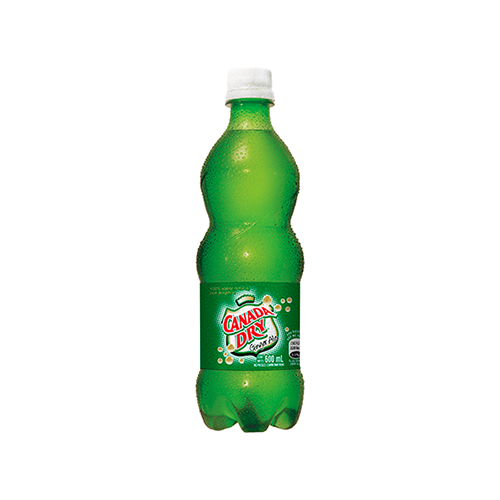 Ginger Ale 600 ml