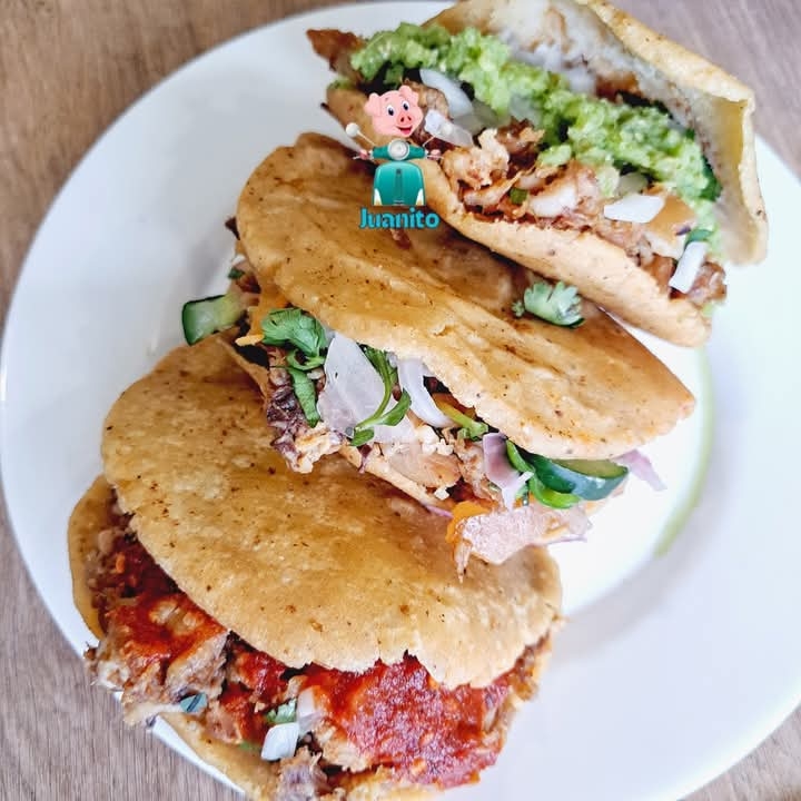 DELICIOSA GORDA DE CARNITAS