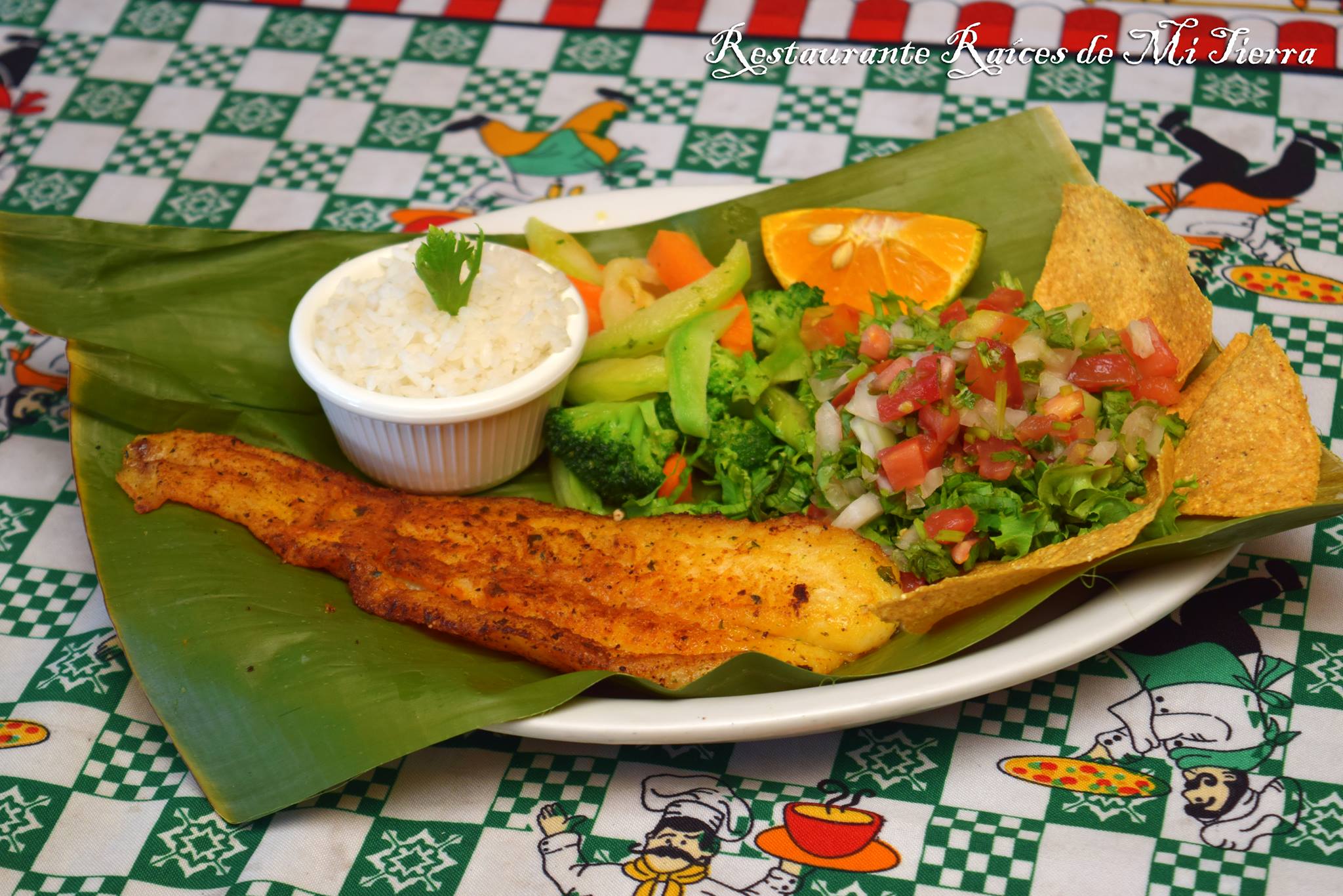 Raíces de Mi Tierra