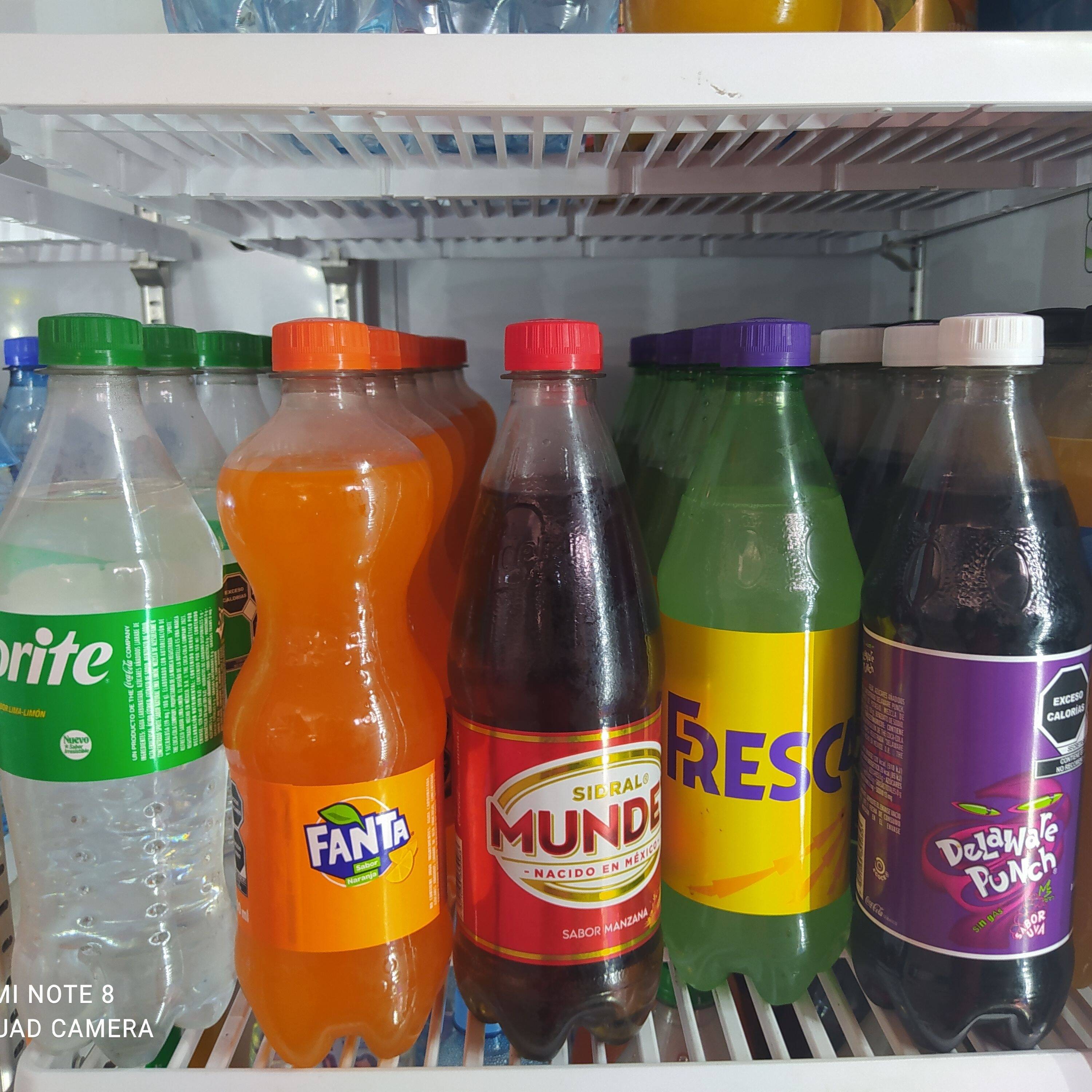 Refresco 600 Ml