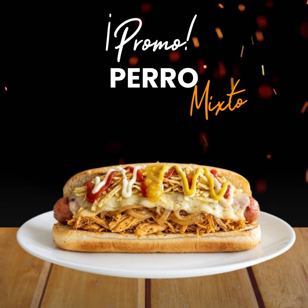 Perro Mixto