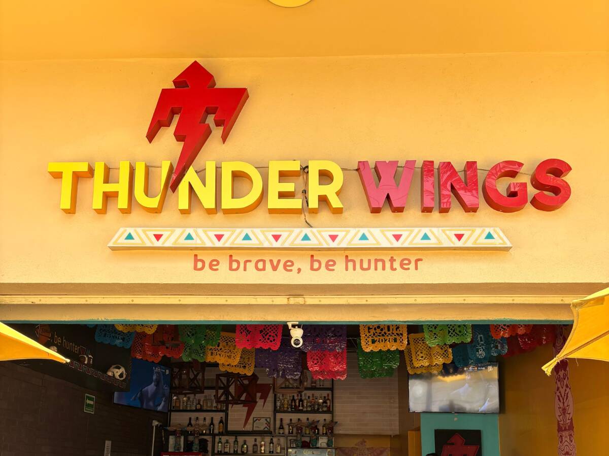 Thunder Wings Suc. Convencion