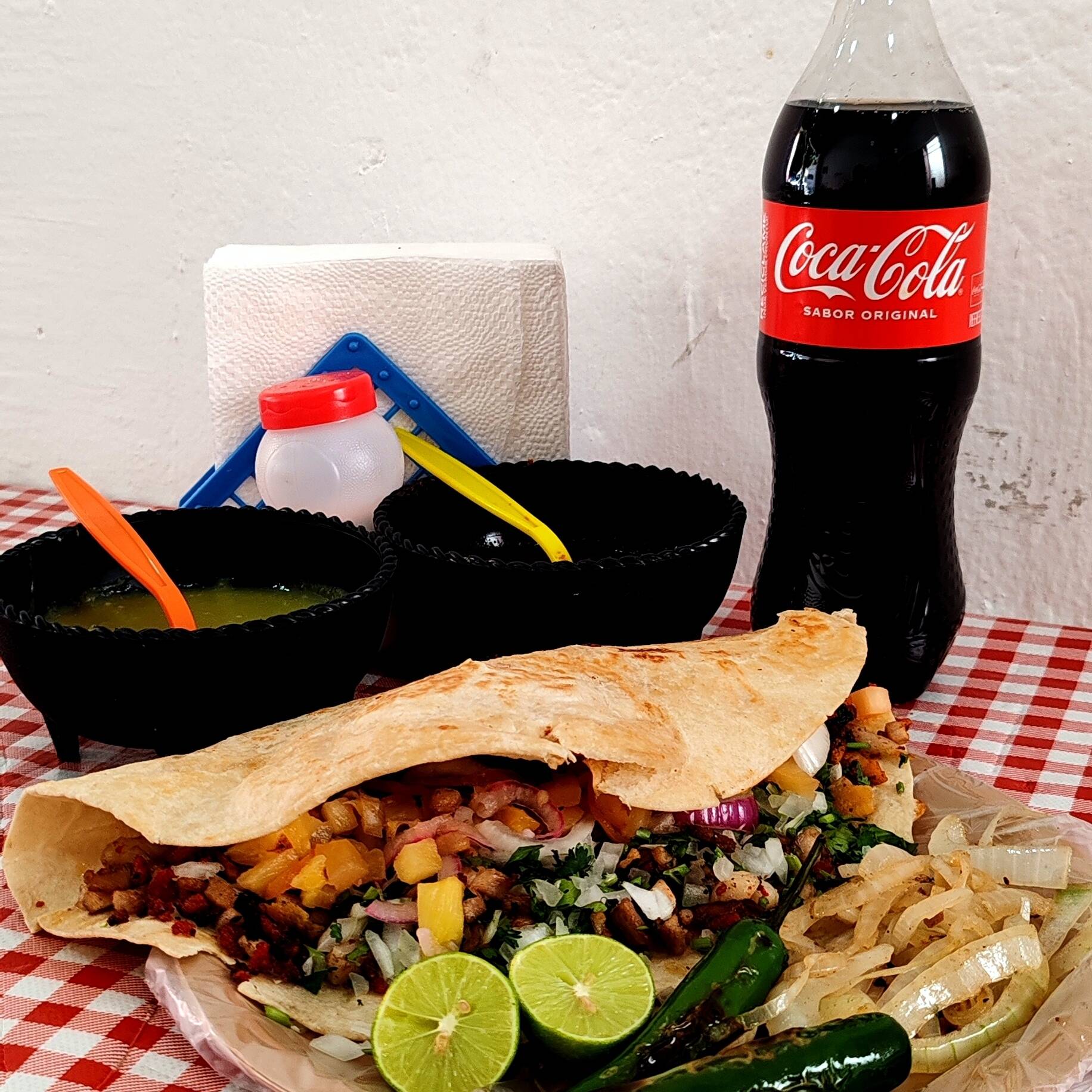 1 Lechuza de Alambre + 1 Coca Cola de 600 Ml