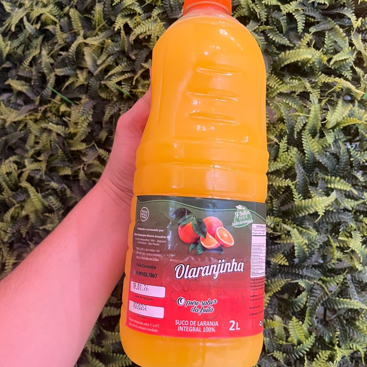 Suco de laranja integral Laranja O Puro Sabor da Fruta