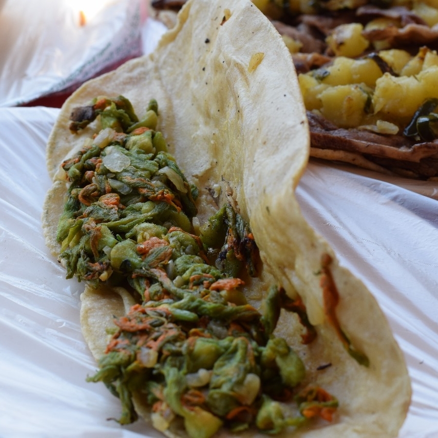 Quesadilla de Flor de Calabaza