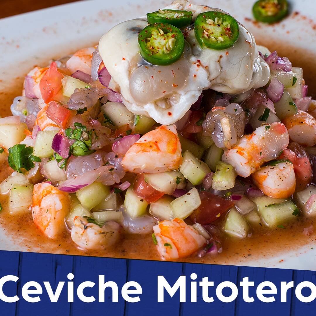 Mitotero