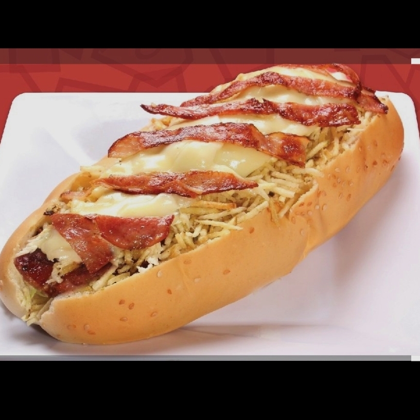 PERRO CAMINO DEL INDIO