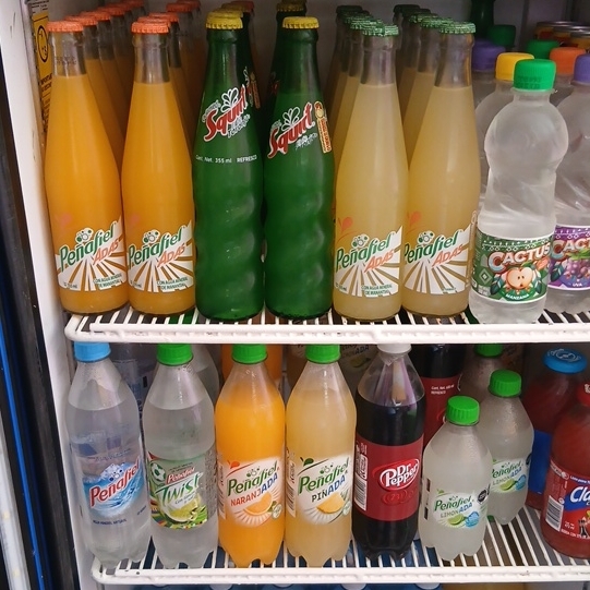 REFRESCOS VARIOS SABORES