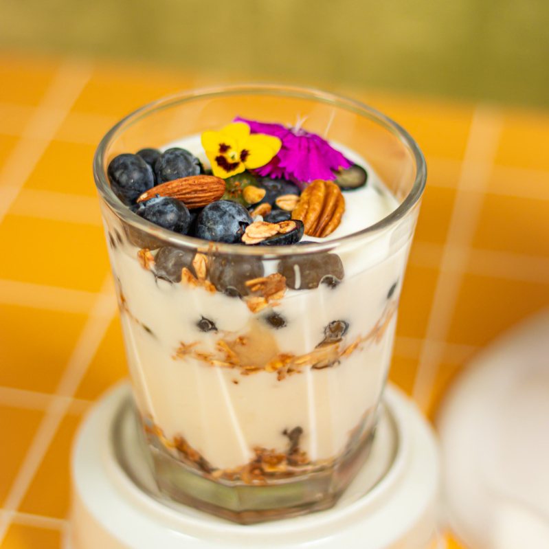 Yogurt de Berries