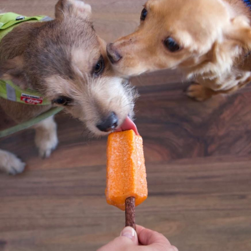 Paleta Para Mascota