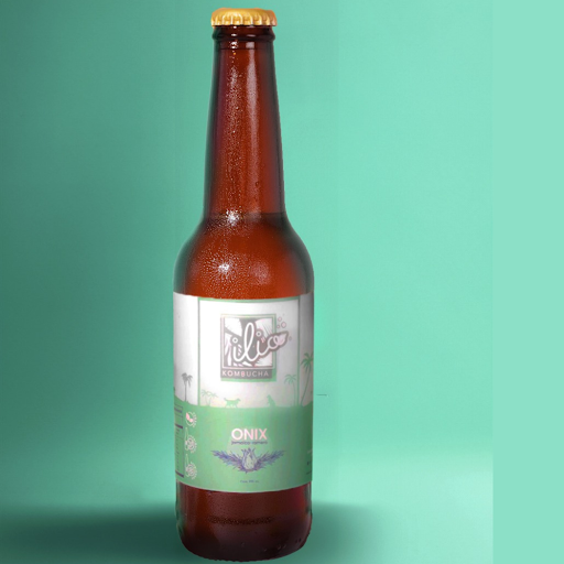 Kombucha Onix 355ml