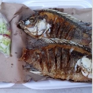 MOJARRA 1/2 KILO