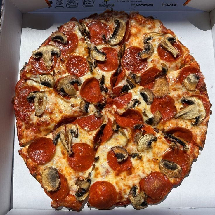 Pizza Grande de 2 Ingredientes