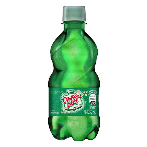 Ginger Ale 355 Ml