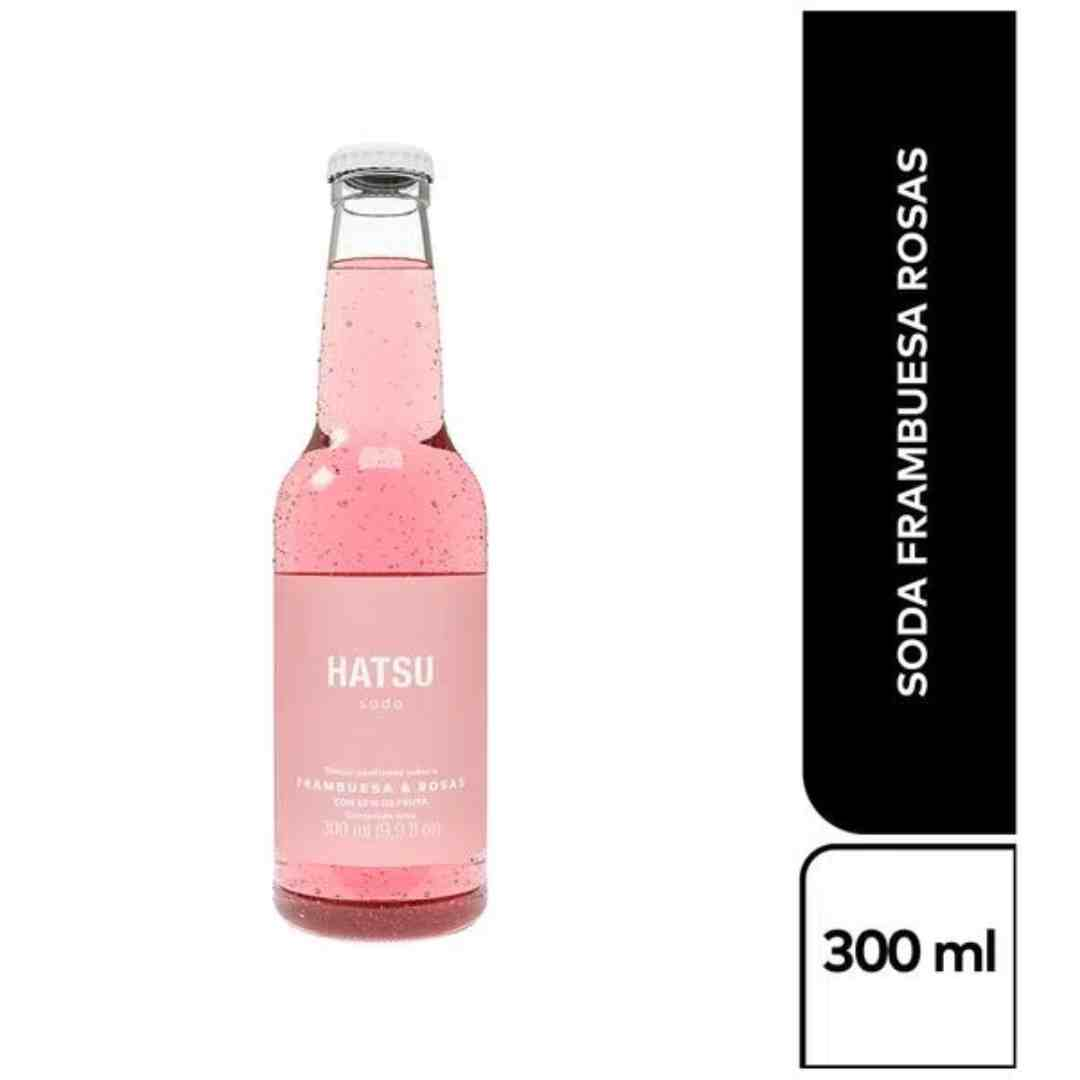 Soda Saborizada Hatsu