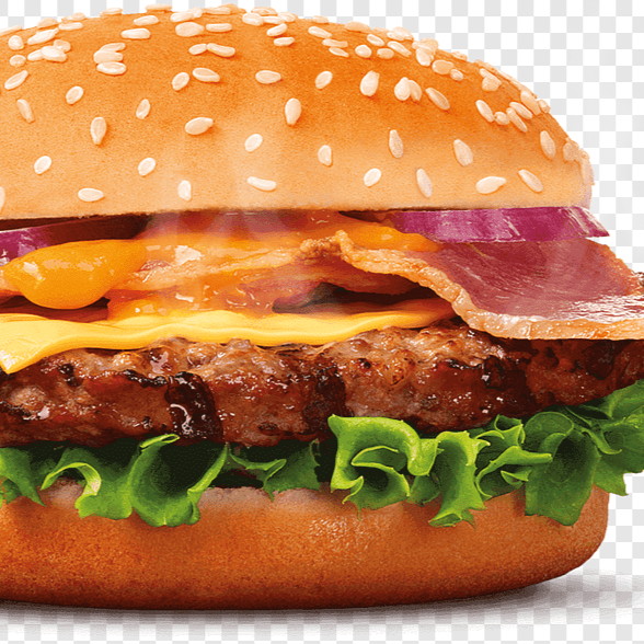 SPECIAL BURGER + PAPAS FRITAS