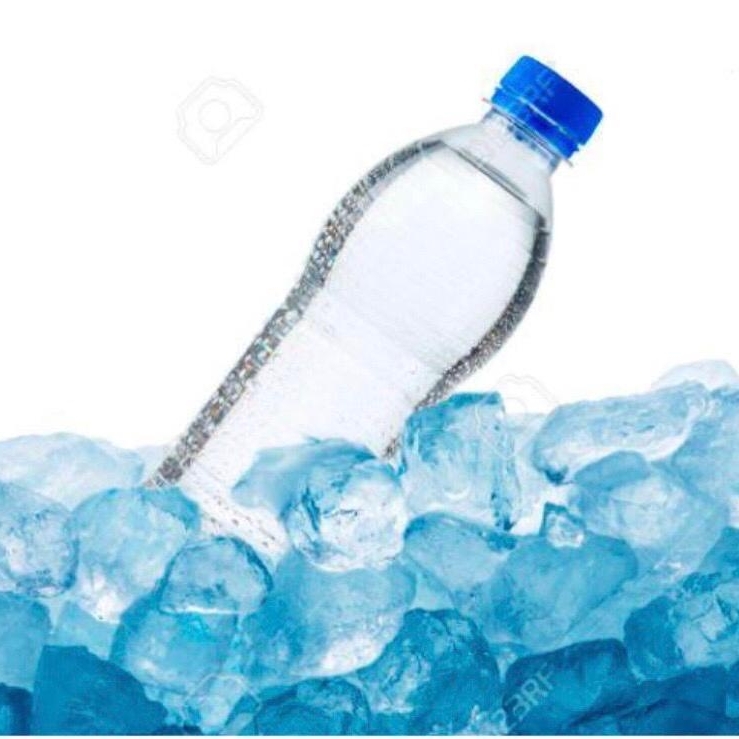 Agua Purificada 500 Ml.