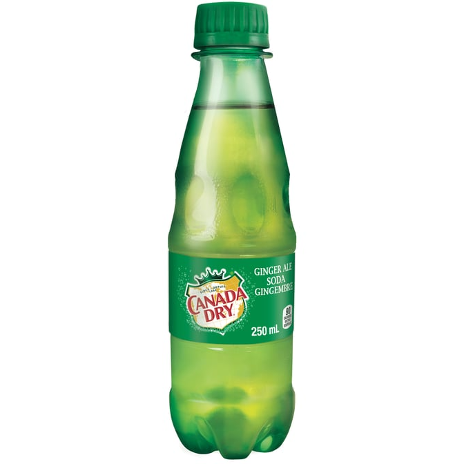 Ginger Ale 250 ML