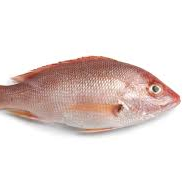 Pargo por 500Gr