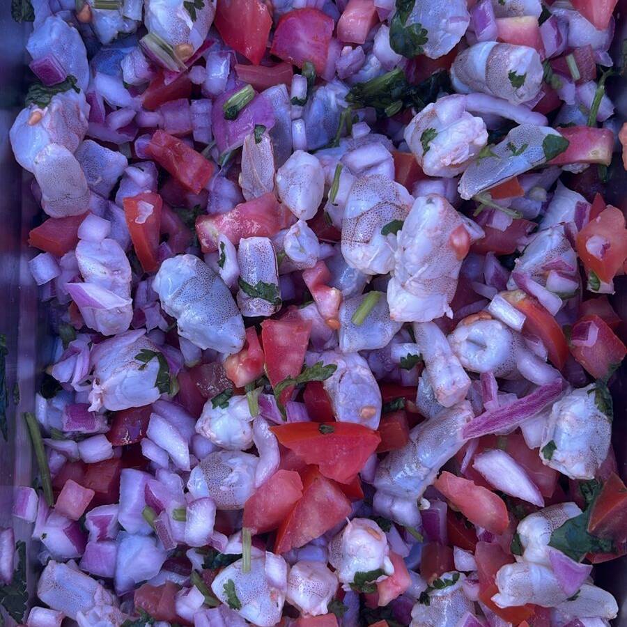 Ceviche Camaron