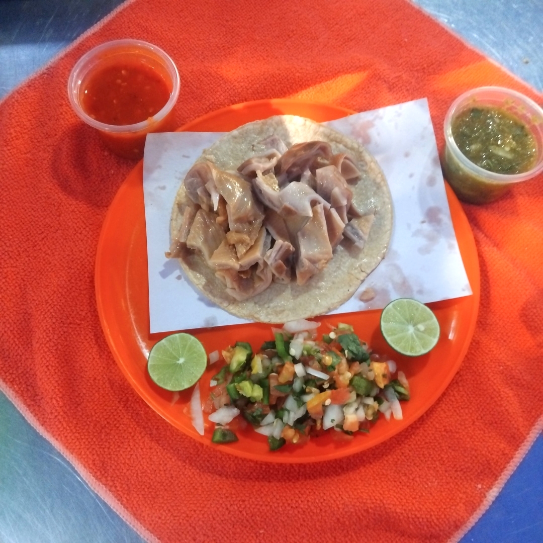 Taco de Buche